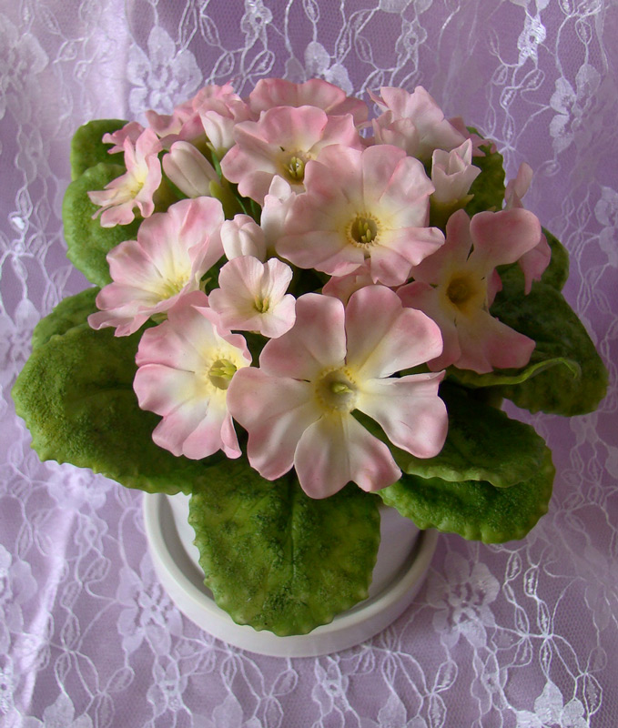 Примула. Керамическая флористика (лепка цветов из полимерной глины) - Мои работы