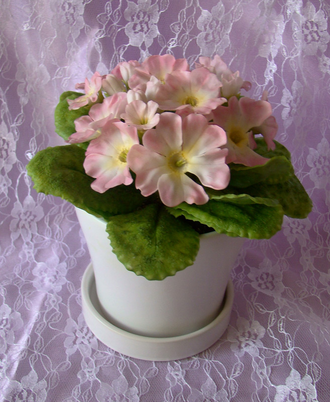 Примула. Керамическая флористика (лепка цветов из полимерной глины) - Мои работы