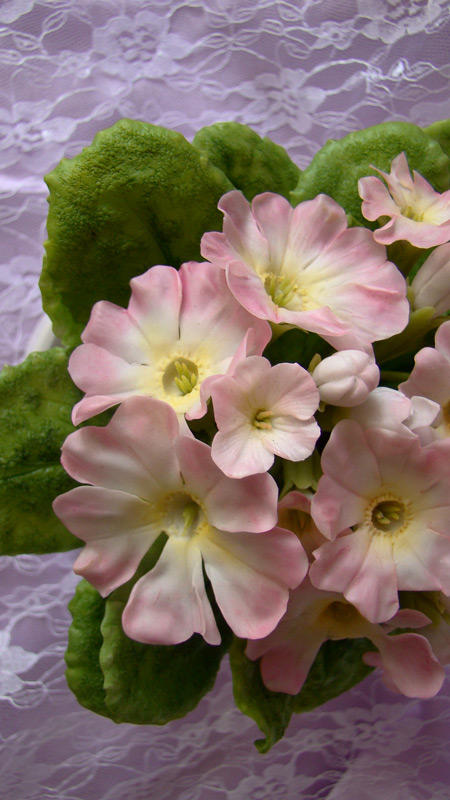 Примула. Керамическая флористика (лепка цветов из полимерной глины) - Мои работы