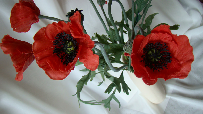Красные маки. Керамическая флористика (лепка цветов из полимерной глины) - Мои работы