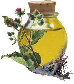 Биологическая ценность масел. МЫЛО ручной работы