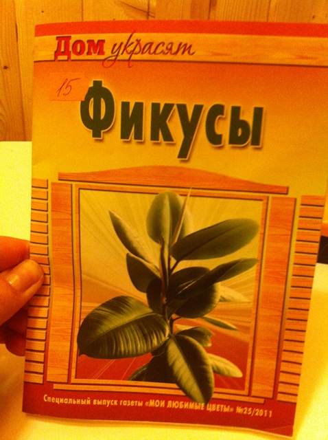 книги/фотоальбомы