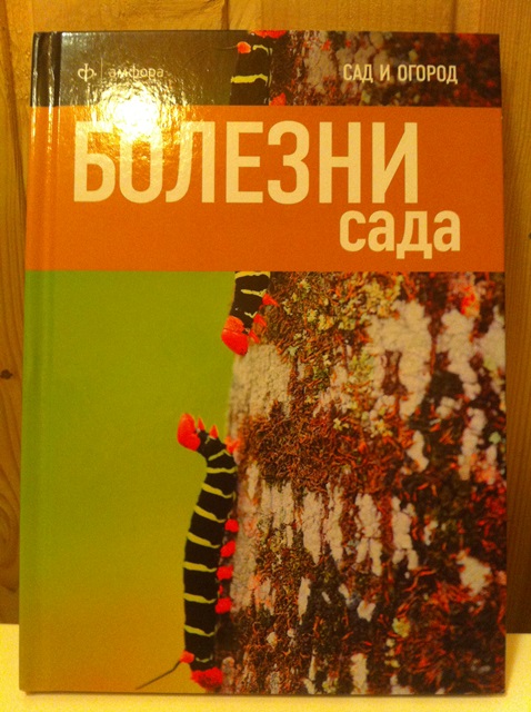 книги/фотоальбомы