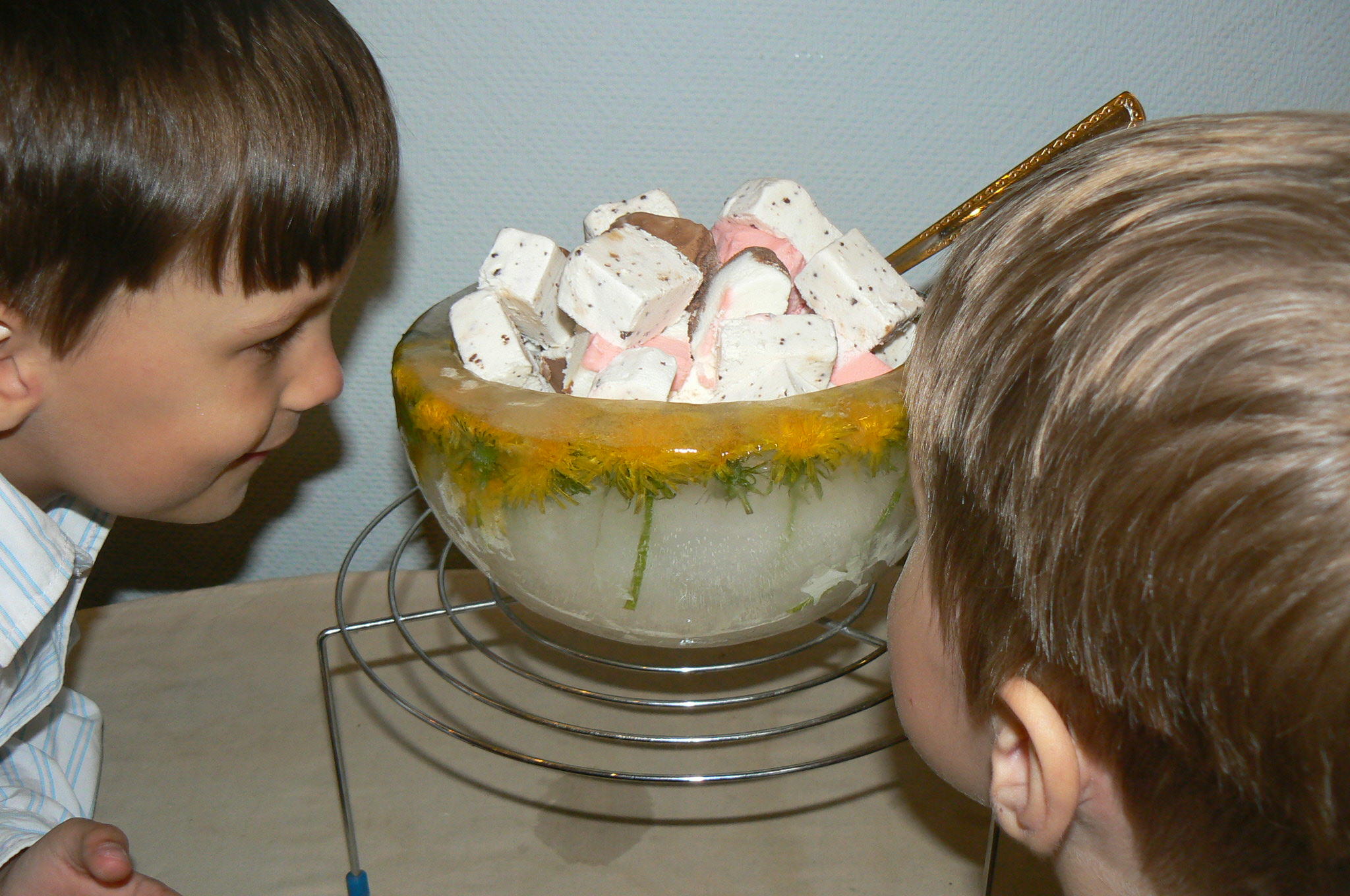 Ледяная ваза с одуванами.В вазе подаётся мороженое. Ака и Бяка