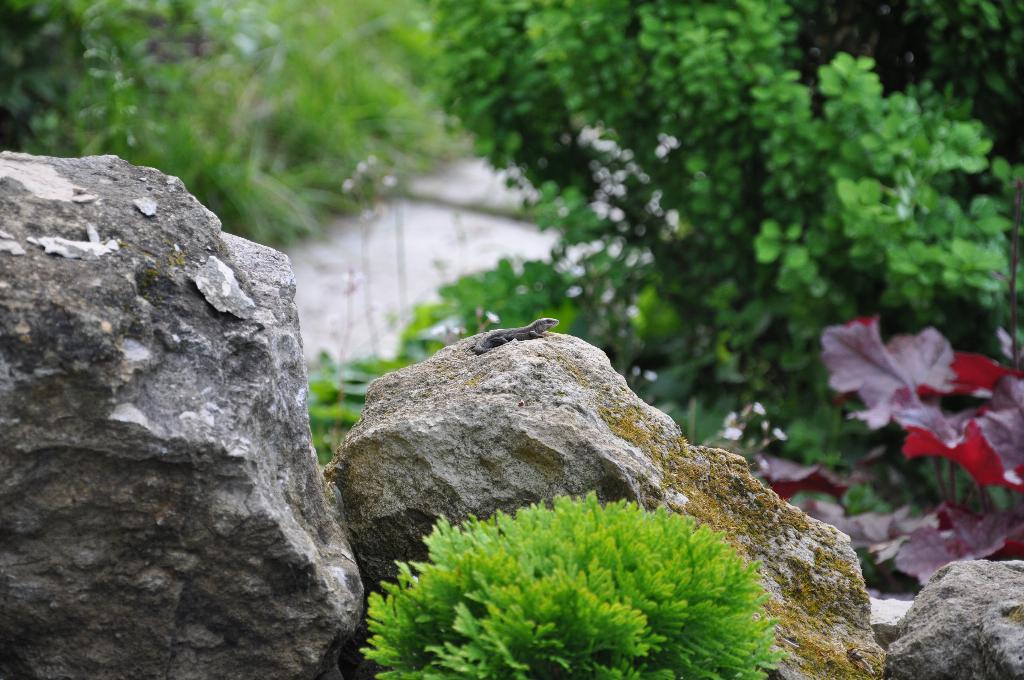 Дача старая