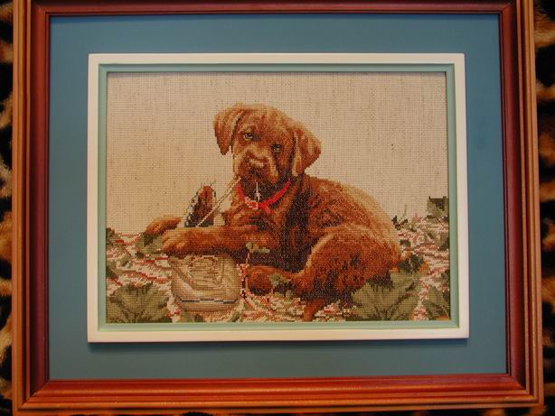 Labrador puppy with a shoe. Разное о собаках