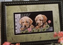 Puppies with geraniums. Разное о собаках