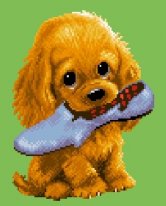 Puppy with shoes. Разное о собаках