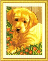 puppy. Разное о собаках