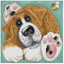 Sanbernar dog. Разное о собаках