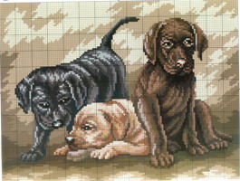 Schenki. Разное о собаках