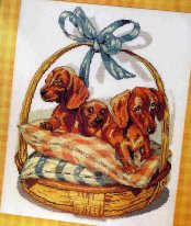 Schenki taks. Разное о собаках