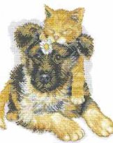 Shepherd dog with a kitty. Разное о собаках