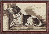 sight. Разное о собаках