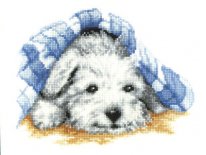 WESTY_BABY. Разное о собаках