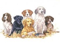 взрослые охотники. Разное о собаках