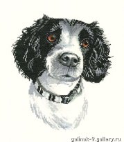 Джек. Разное о собаках