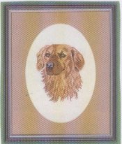 Портрет собаки. Разное о собаках