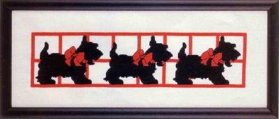 скотчики. Разное о собаках