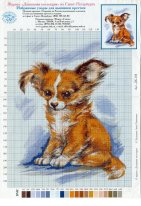 собачка. Разное о собаках