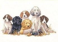 щенки охотники. Разное о собаках