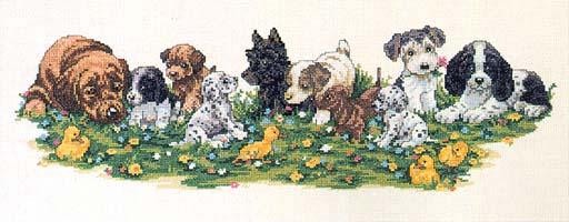 щенки с утятами. Разное о собаках