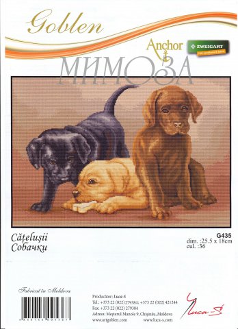 Собачки. Разное о собаках