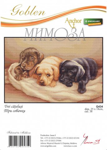 Три собачки. Разное о собаках