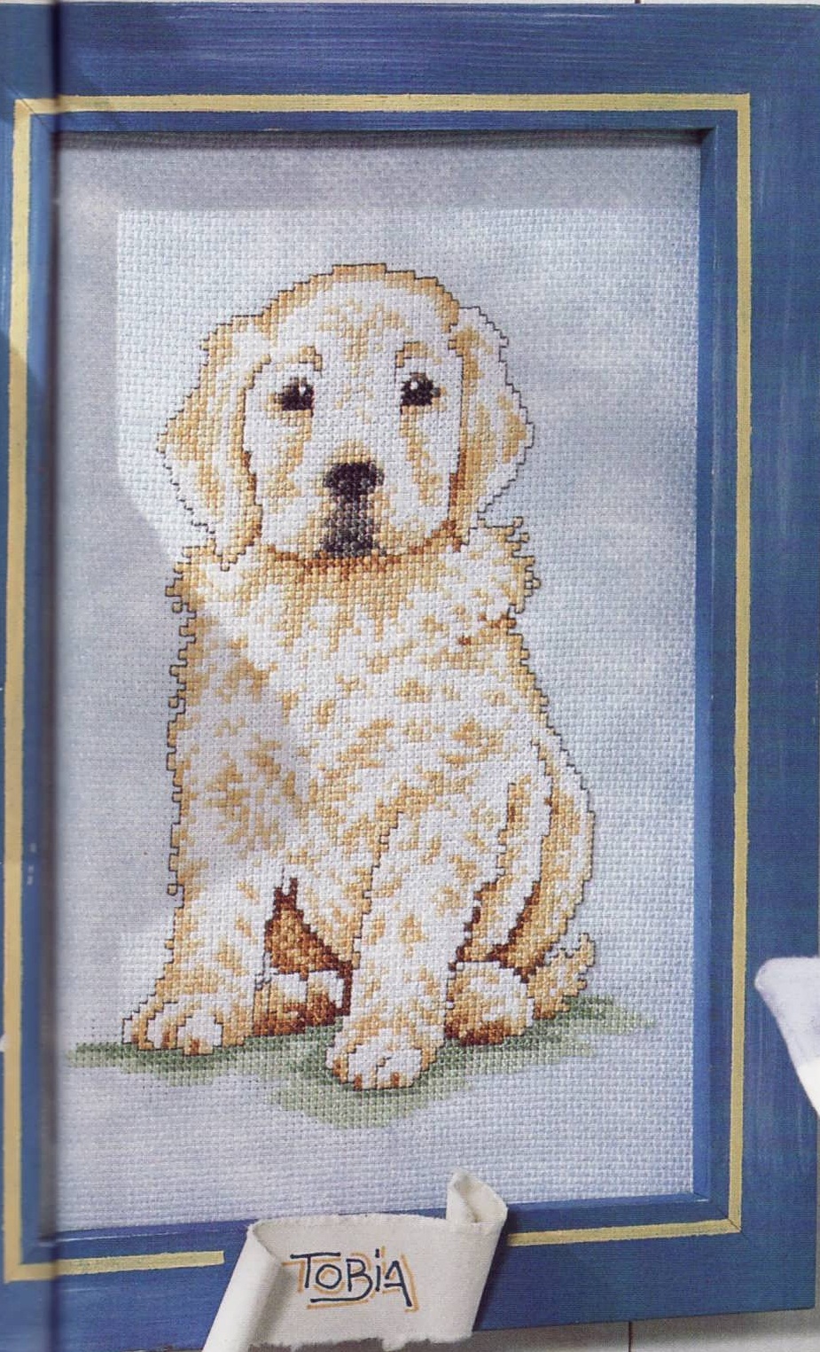 Щенок голдика сидя. Разное о собаках