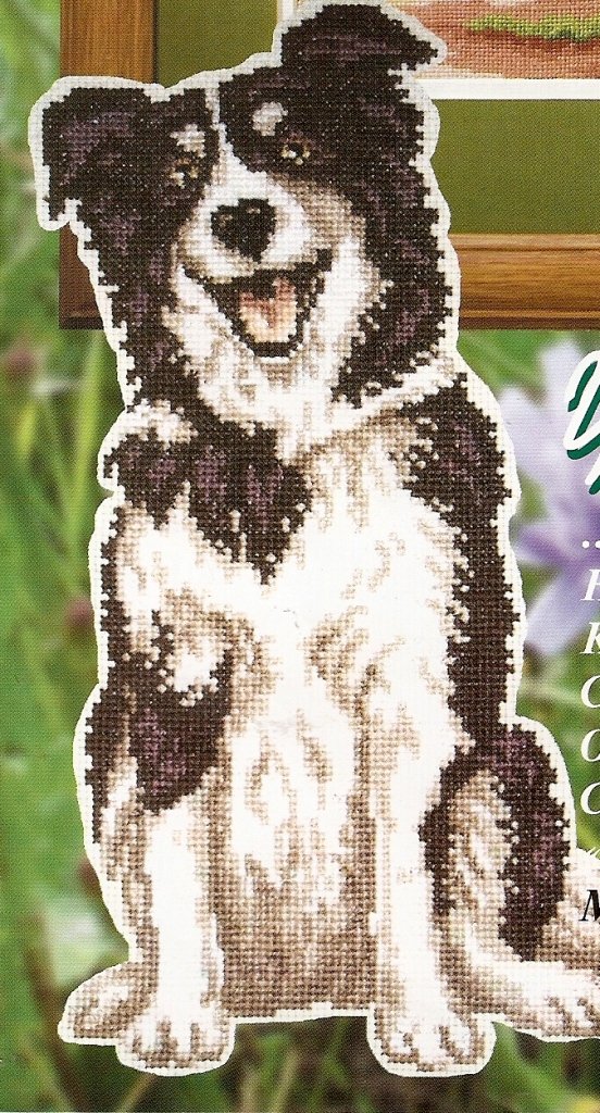 бордер колли. Разное о собаках