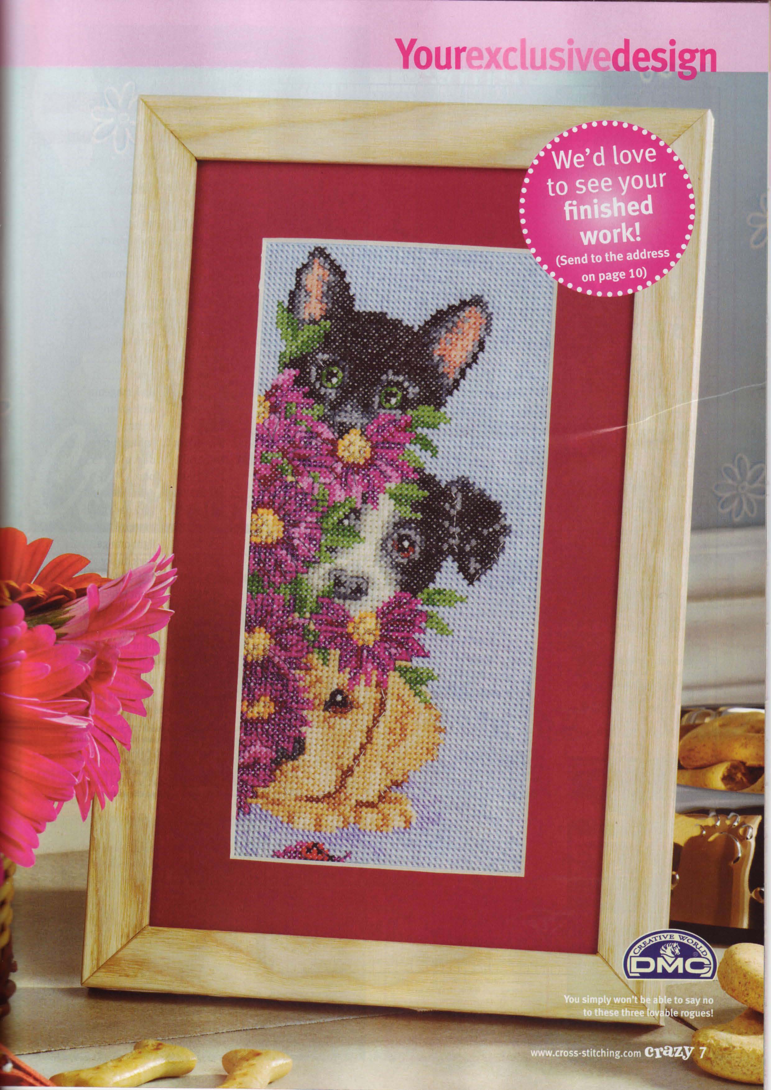 дружки. Разное о собаках