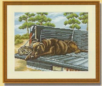 ожидание. Разное о собаках