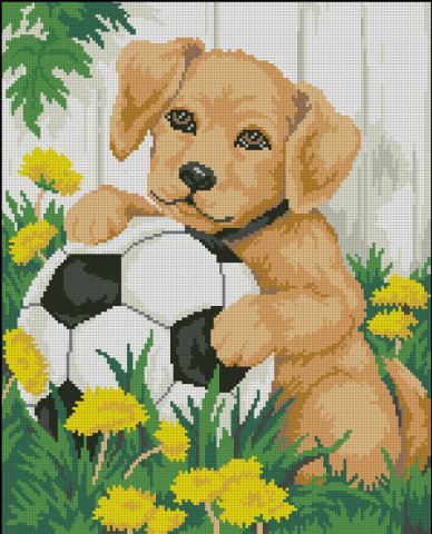 Футболист. Разное о собаках