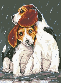 Братская защита. Разное о собаках