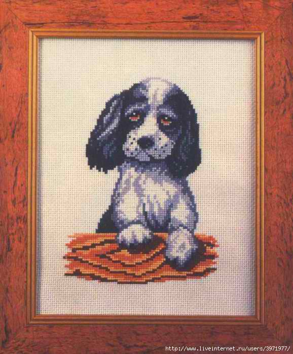 спаниелька. Разное о собаках