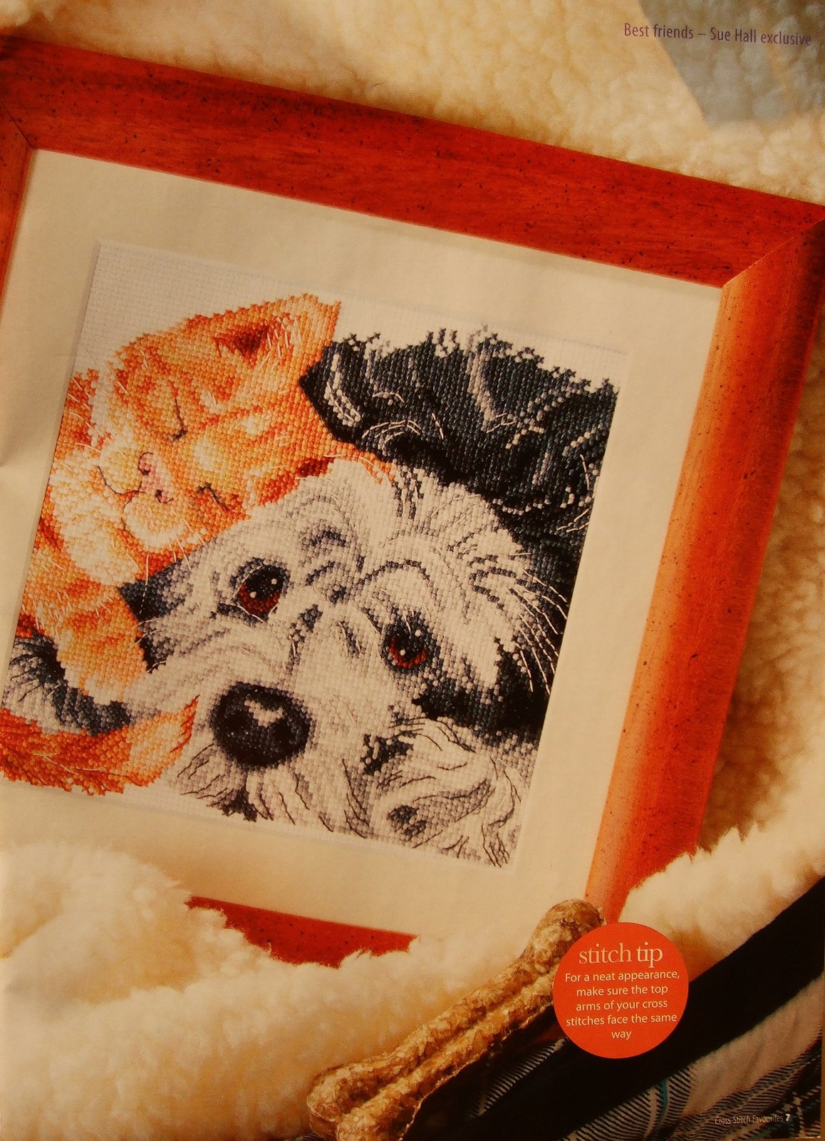 щенок и котенок. Разное о собаках