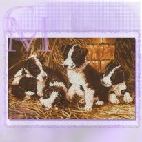 Cute puppies. Разное о собаках