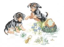 Dacshunds and insect. Разное о собаках