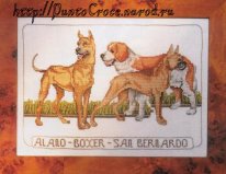 Dog, sanbernar, boxer. Разное о собаках