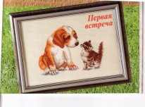 First meeting. Разное о собаках