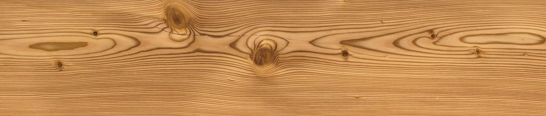 коллекция пробковых полов VIT*A Лиственница Spice. МОИ НАПОЛЬНЫЕ ПОКРЫТИЯ