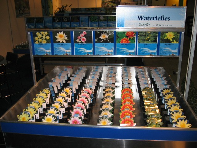 Водные. Голландия. Твенти.