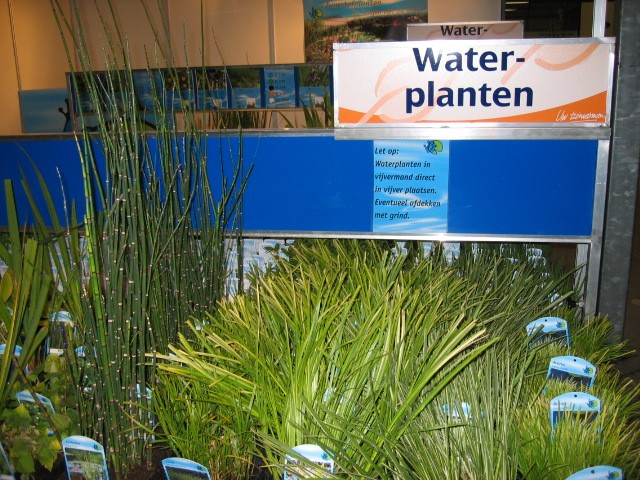 Водные. Голландия. Твенти.