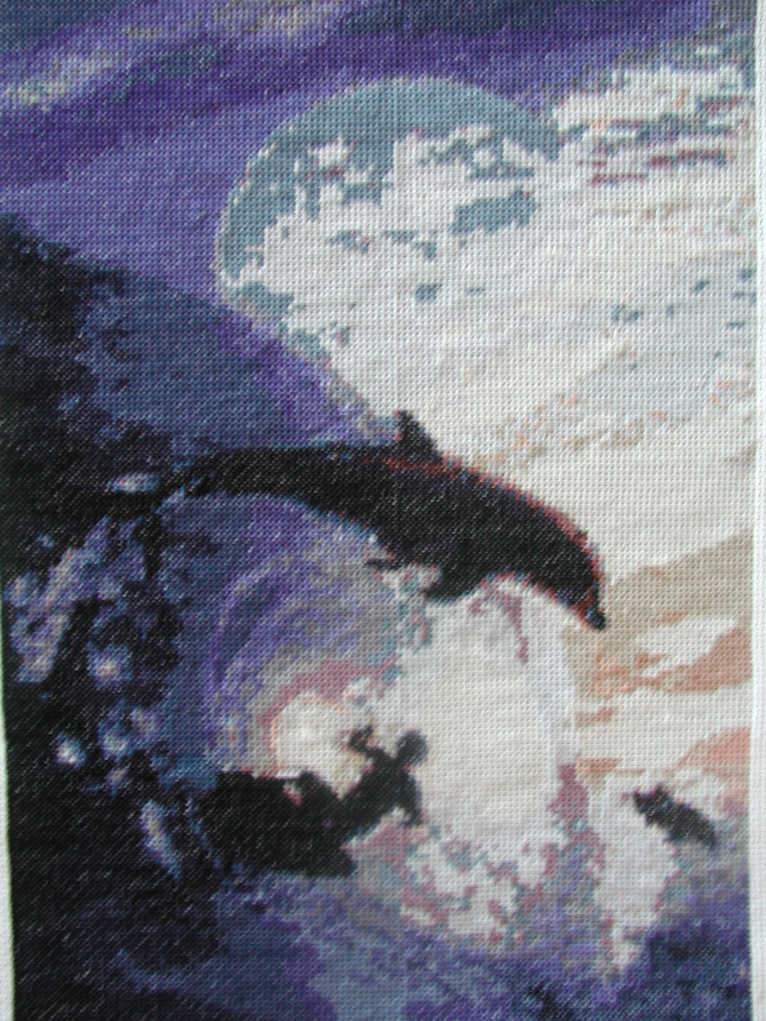 Мои работы.