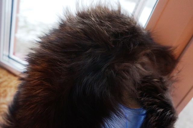 шляпы/шапки/бейсболки