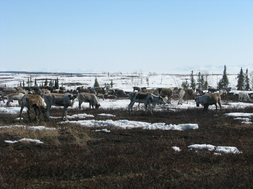 фото1. пристрой