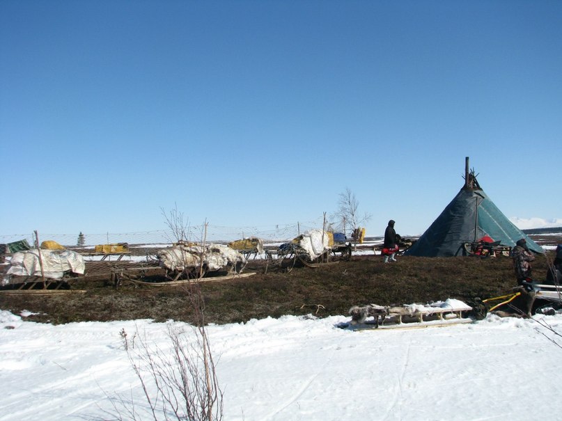 фото 3. пристрой