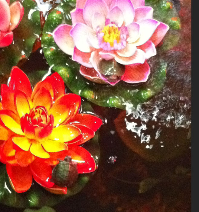 Две маленькие черепашки, рядом плавали мама и папа. Мини-зоопарк