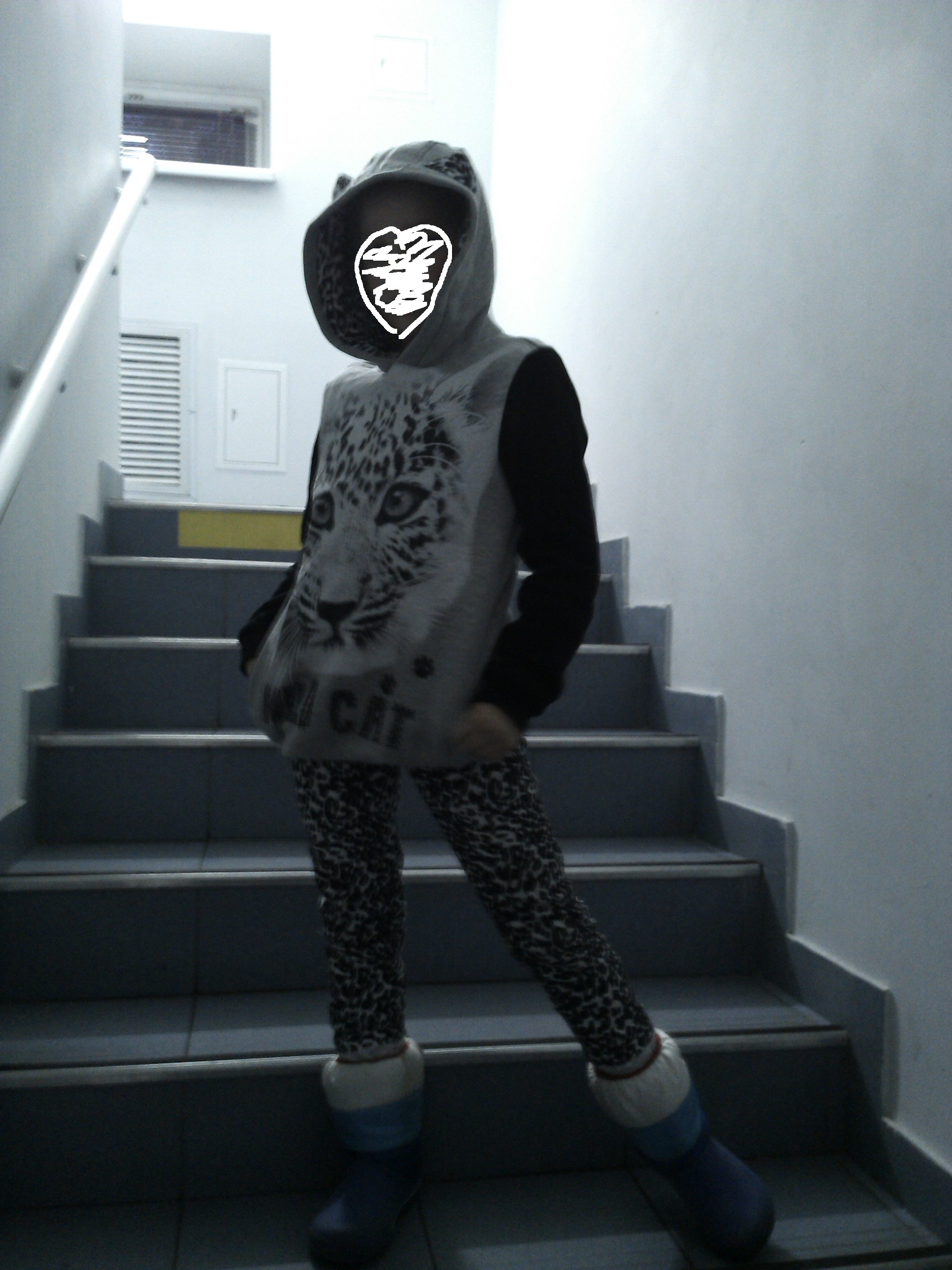 ХВАСТ синяя кнопка