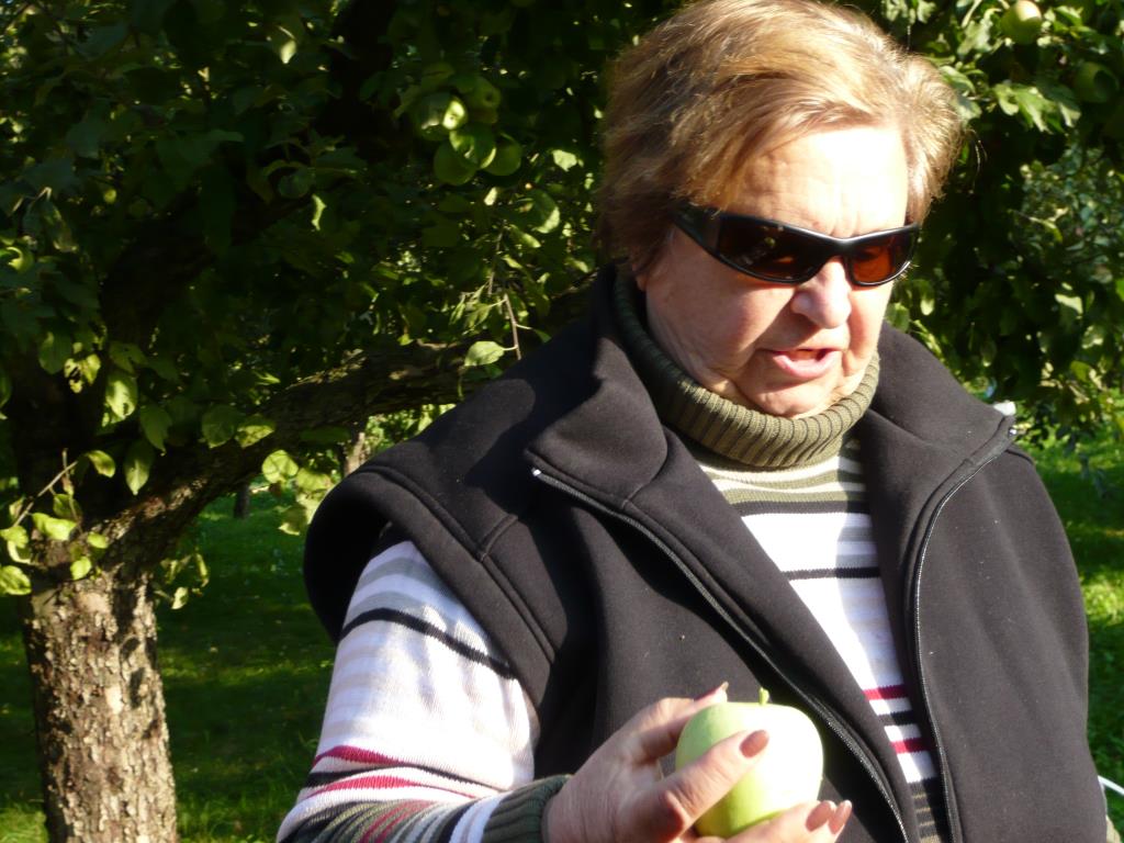 Память Сикоры. Экскурсия по сортовым яблоням в Ботсаду МГУ (18 сентября 2014г)